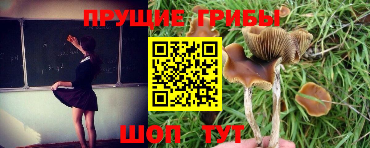 Галлюциногенные грибы ЛСД Бугуруслан